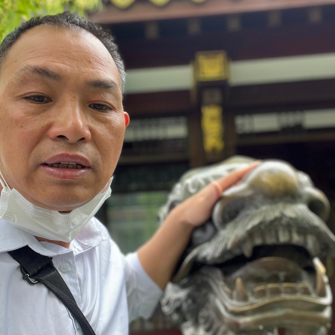 （清晨中绿叶散发）的纯氧气。