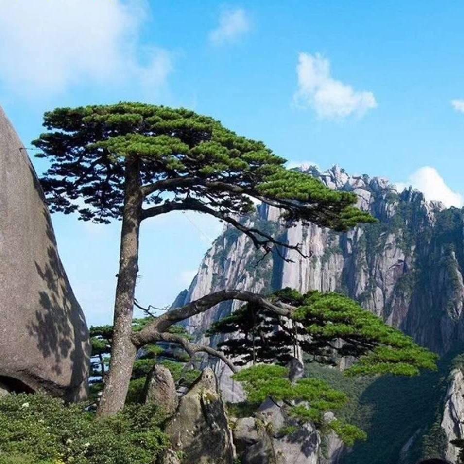 坚持