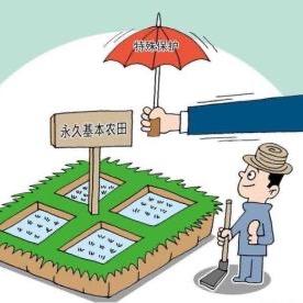 全国基本农田查询