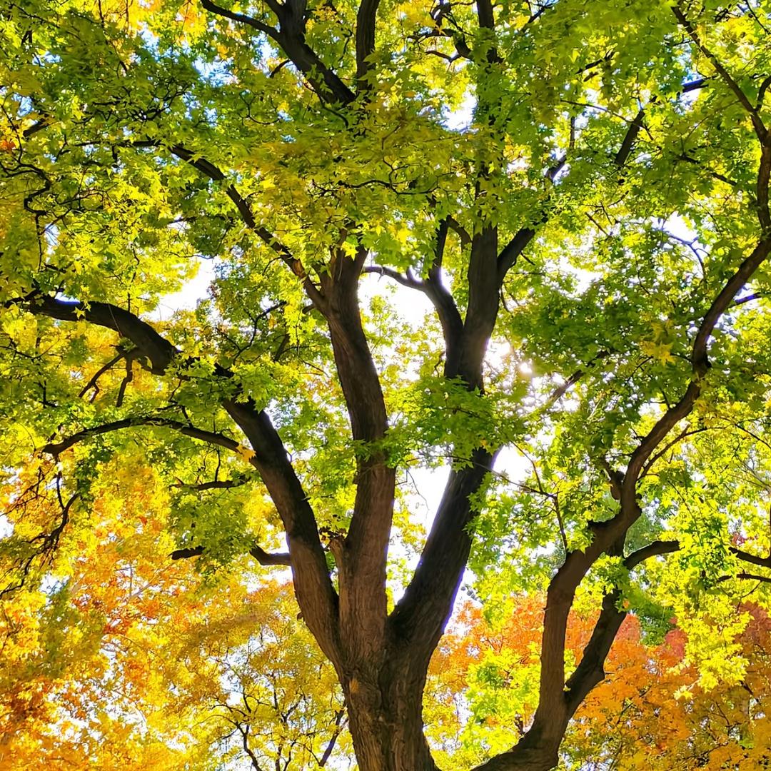 郭黎明，三代当兵