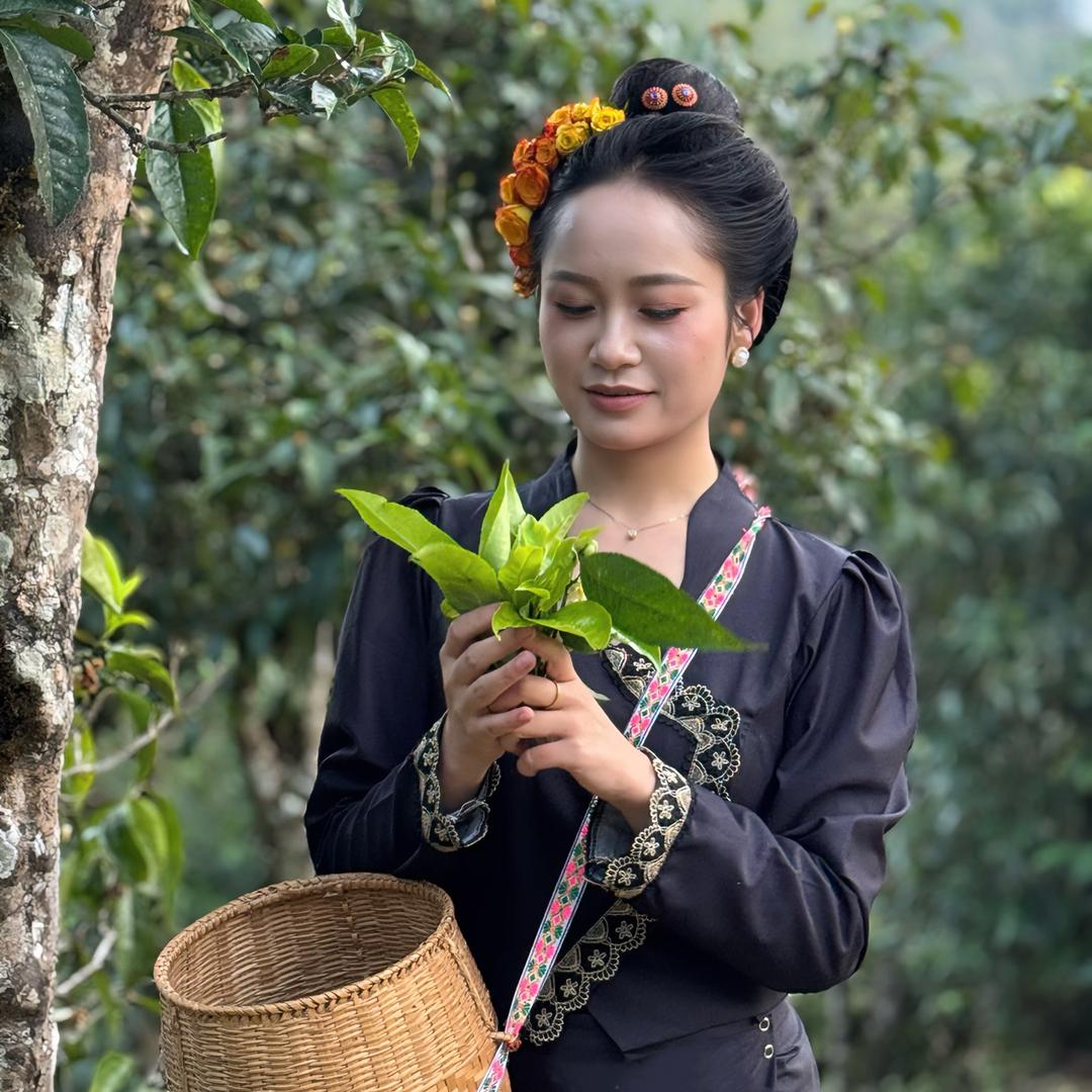 小清家的茶