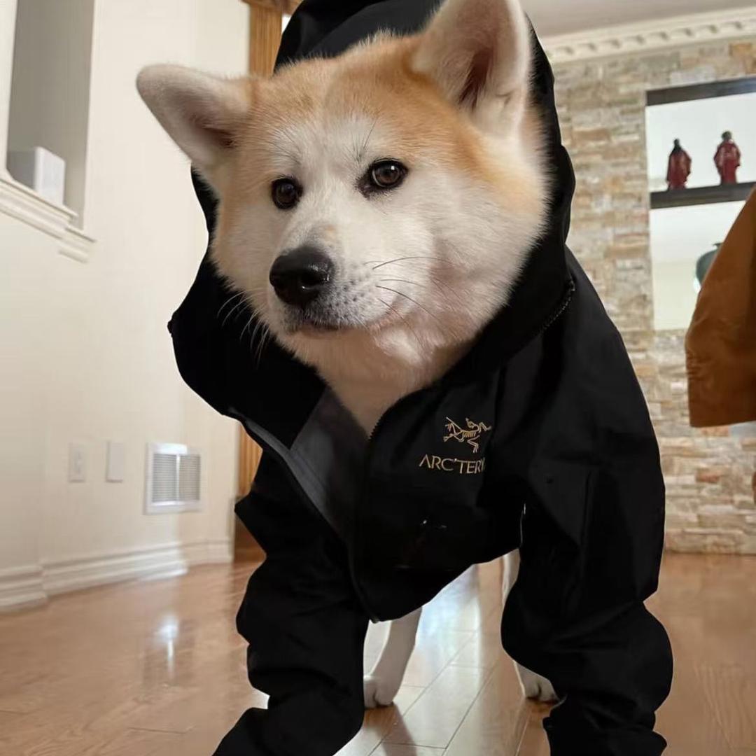 加拿大户外高奢🇨🇦