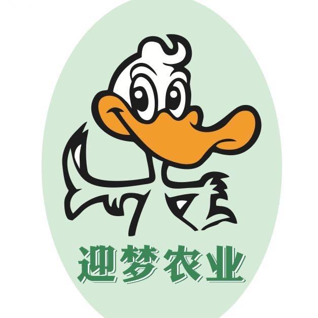 迎梦农业（蛋鸭养殖基地）