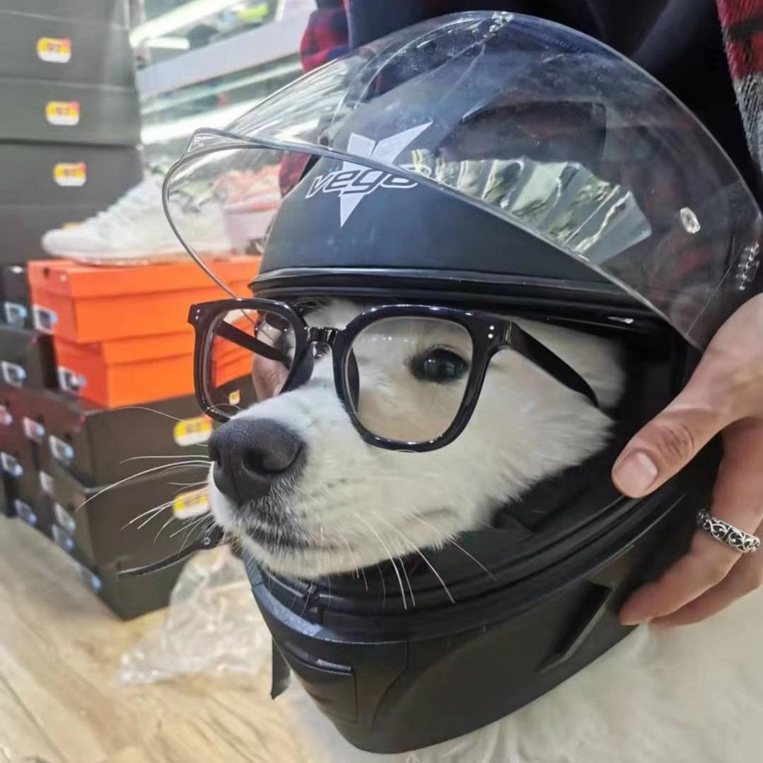 郑州卖馍的.