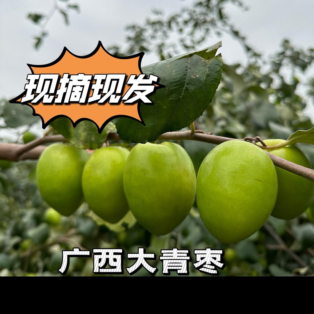 🌈漆嘿