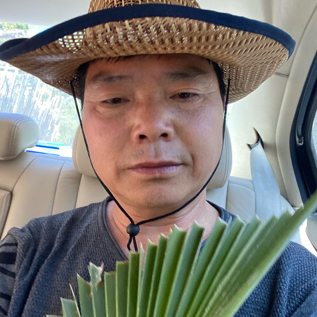 西南（万发）999