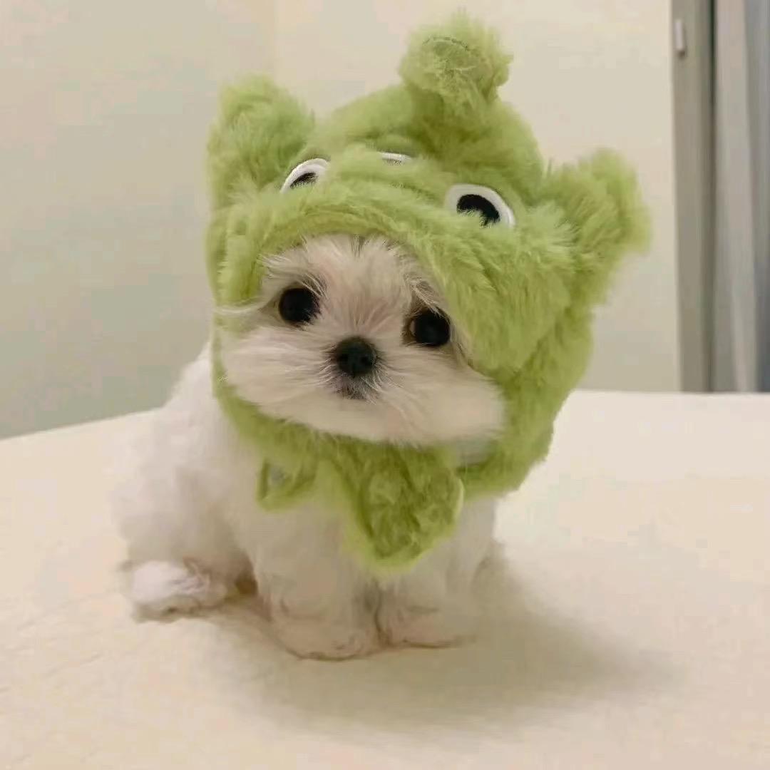 O.o？