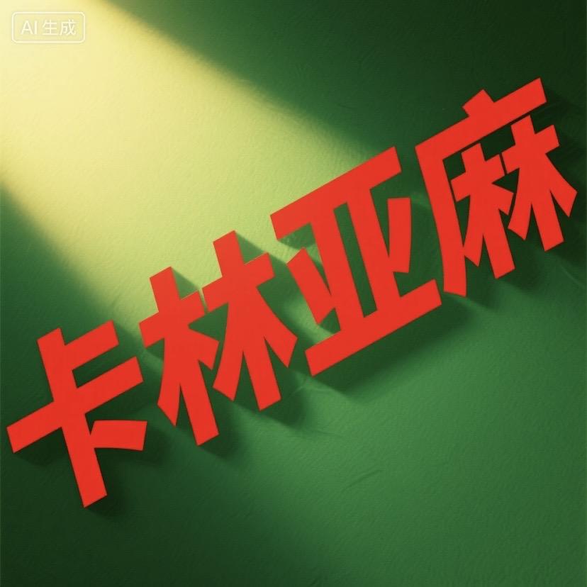 卡林麻料女装工厂(单色10件贴牌)