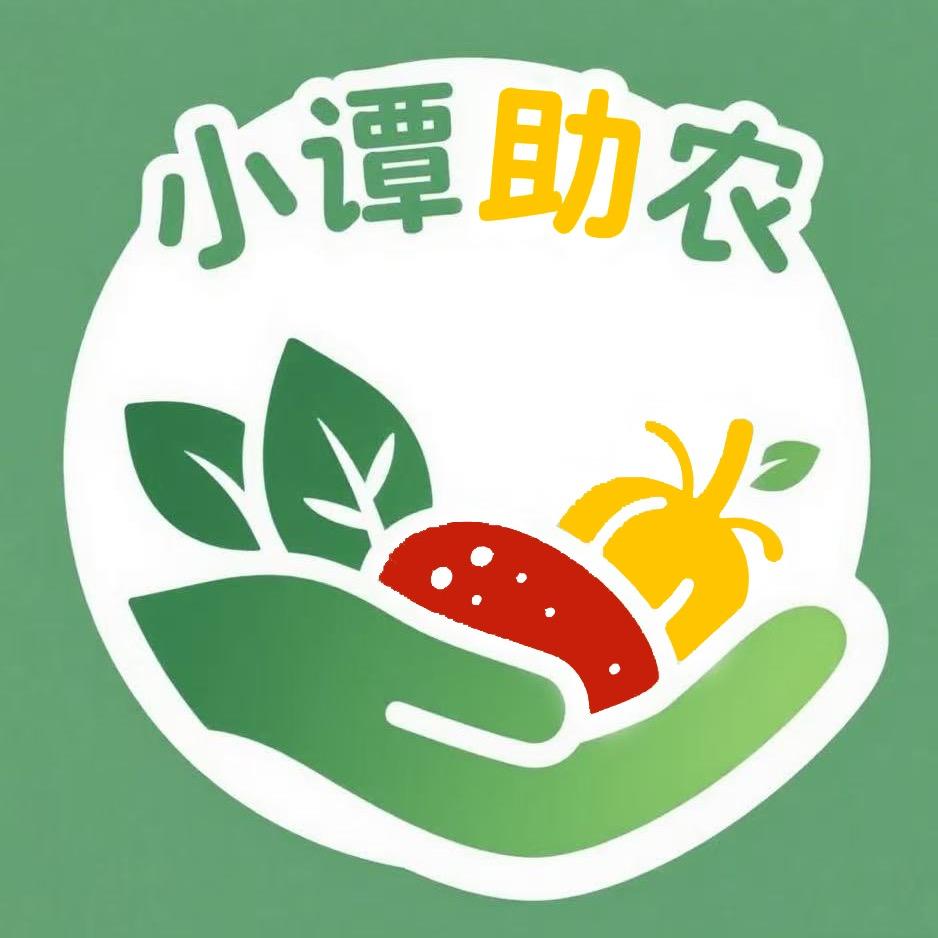 谭三妮