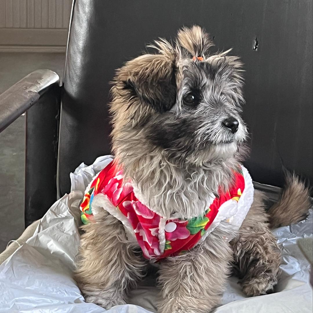 给生活比个叶✌️