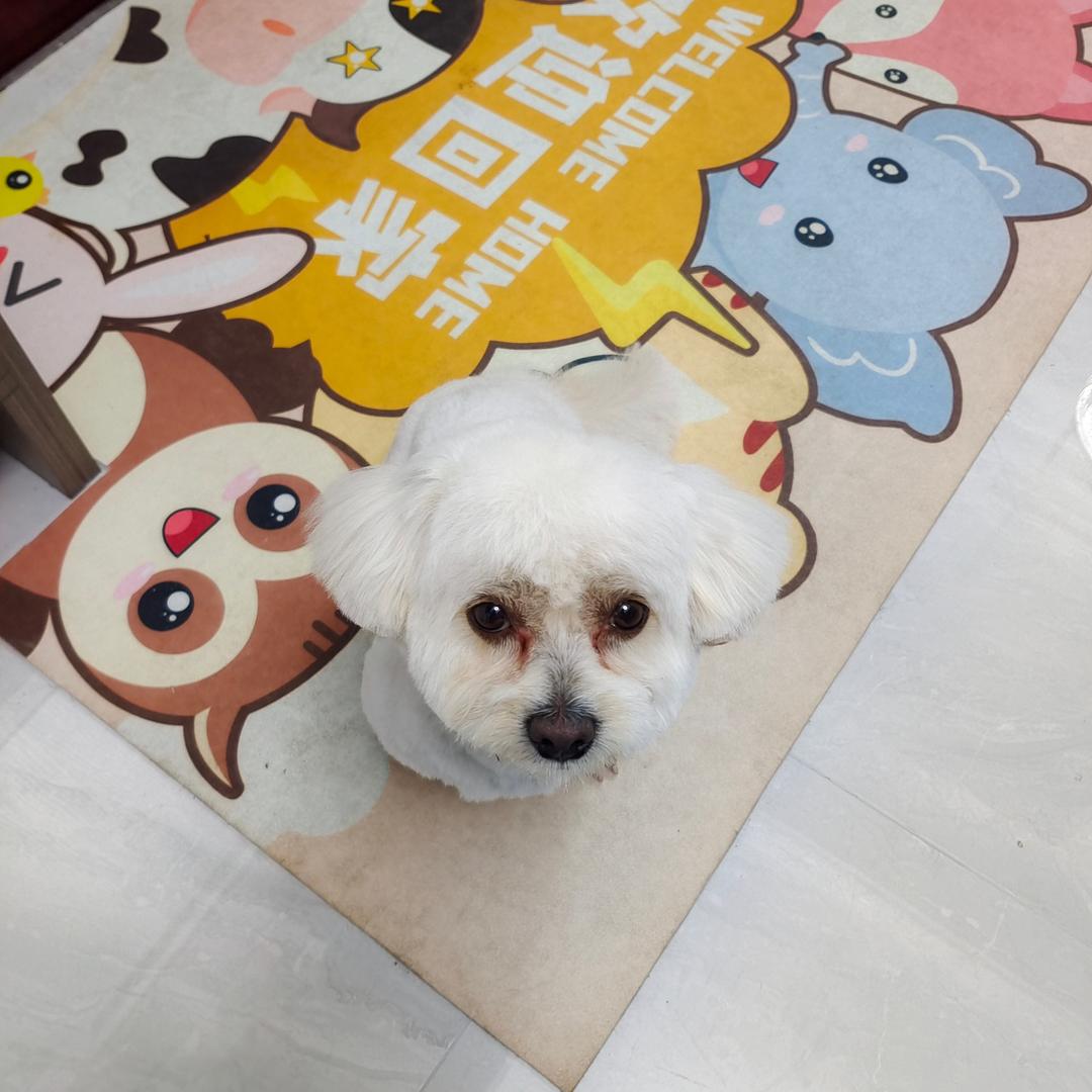 下班了开心一下