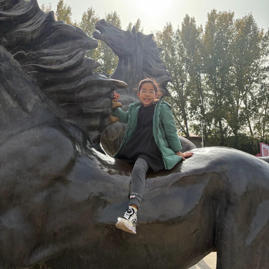 无人机打药，撒肥，吊运，（东哥）