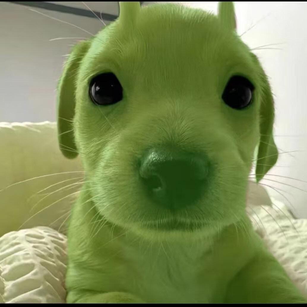 青苹狗