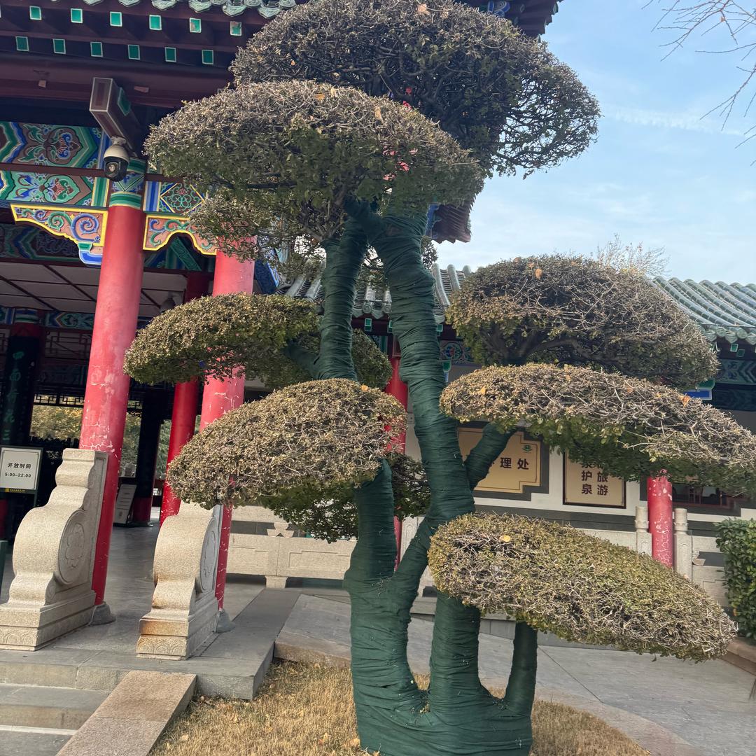 浅戴粉妆