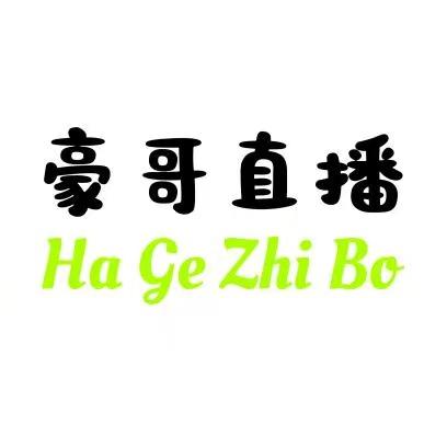 豪哥直播