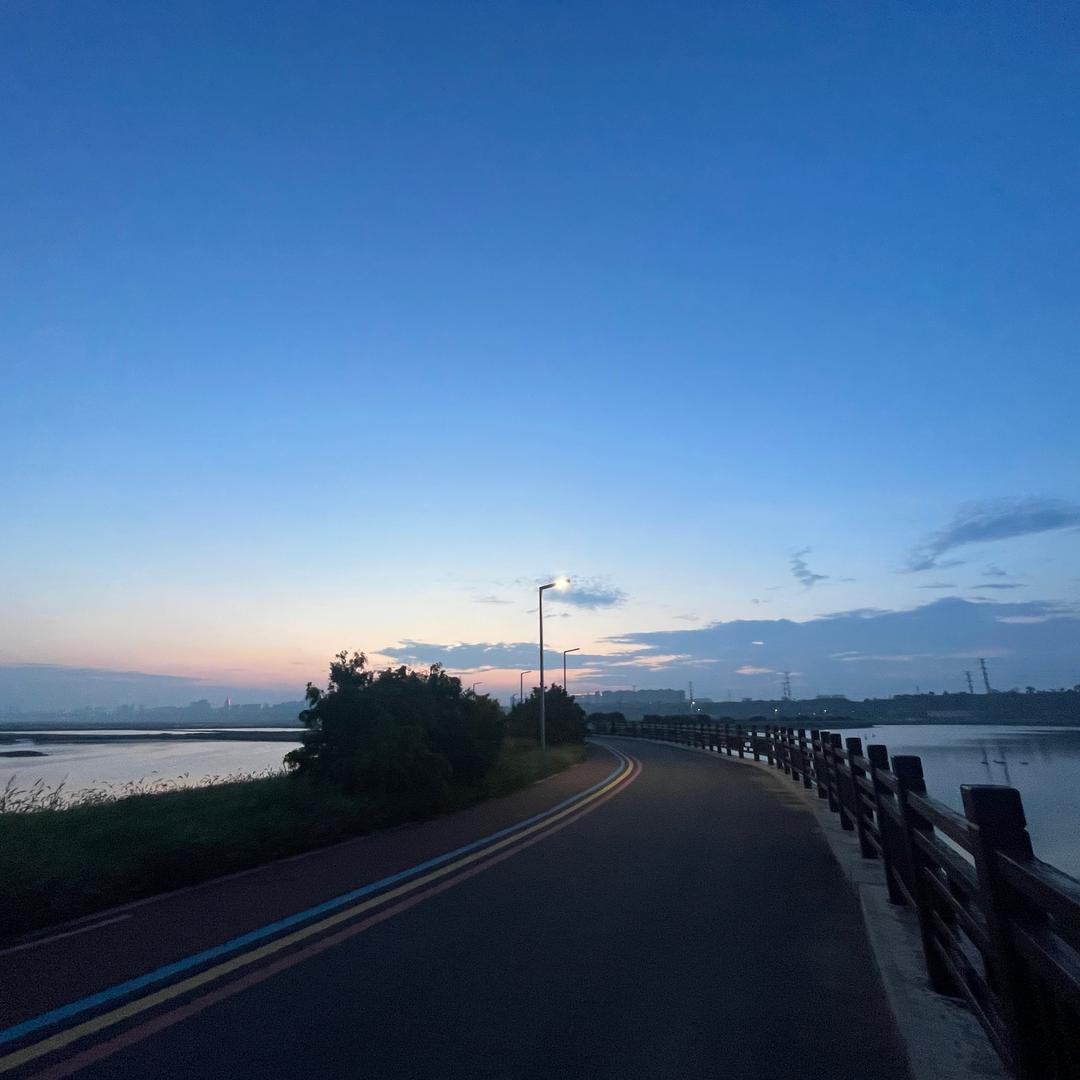 斜阳照东篱～