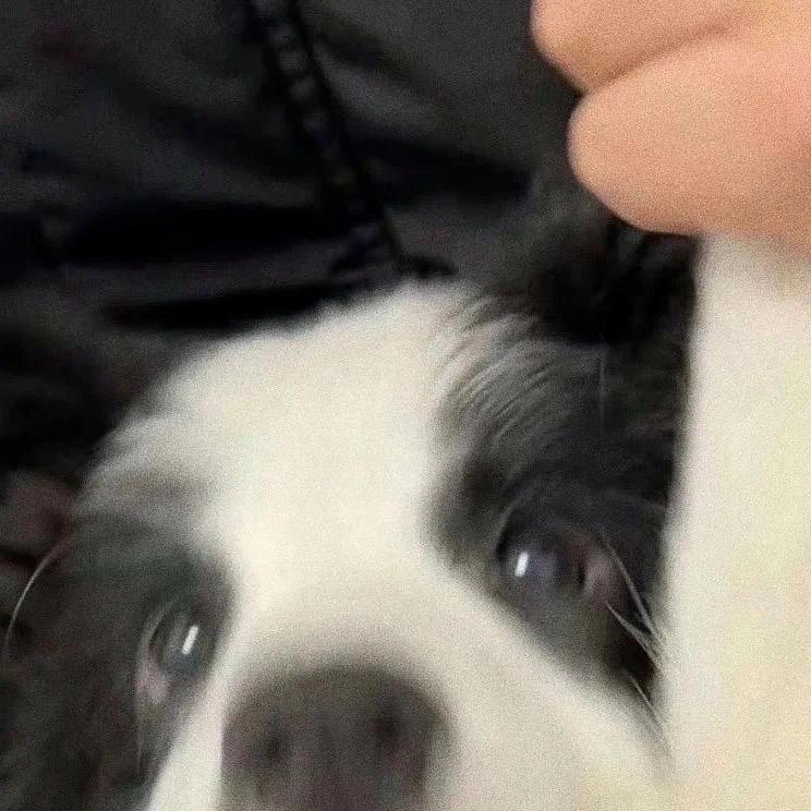 96962826199