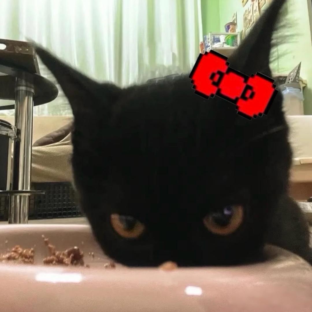 ꉂ • • ྀི ฅ