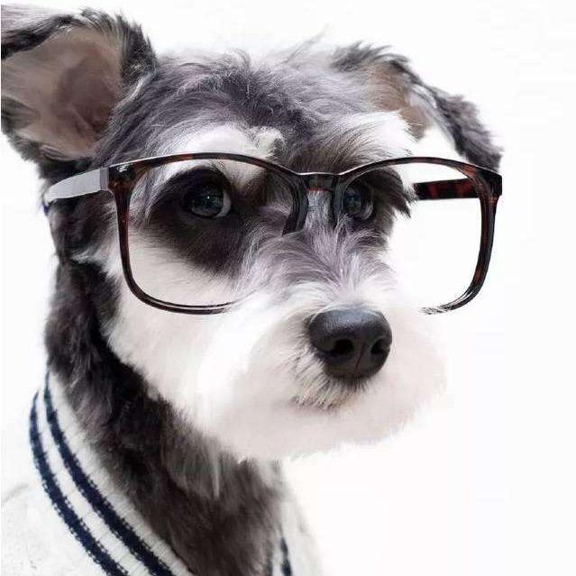 丶腾少（一夜暴富版）