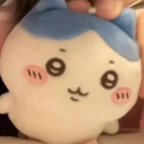 喜欢普尔