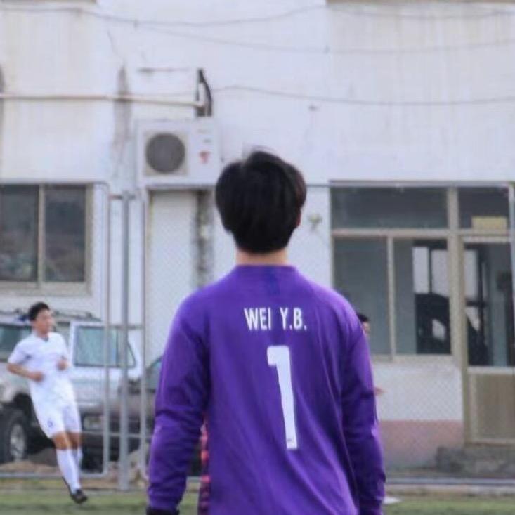 FC-门将之光