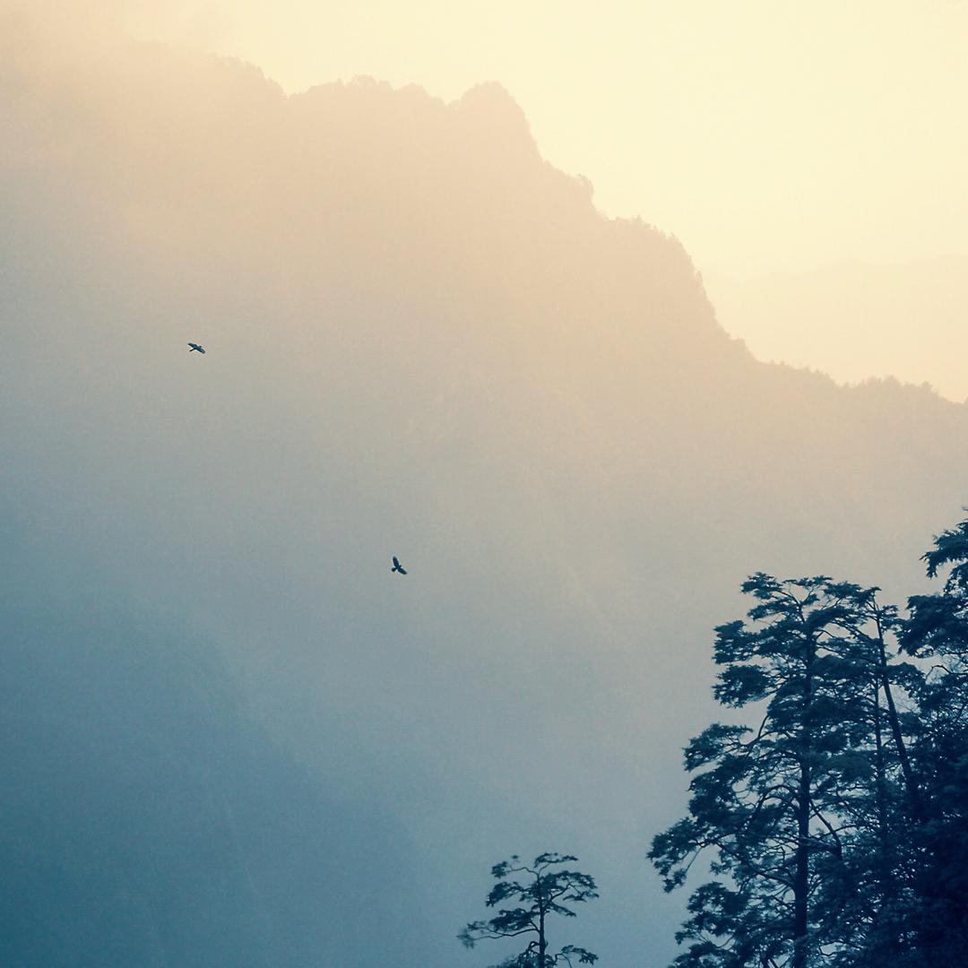 轻舟已过万重山