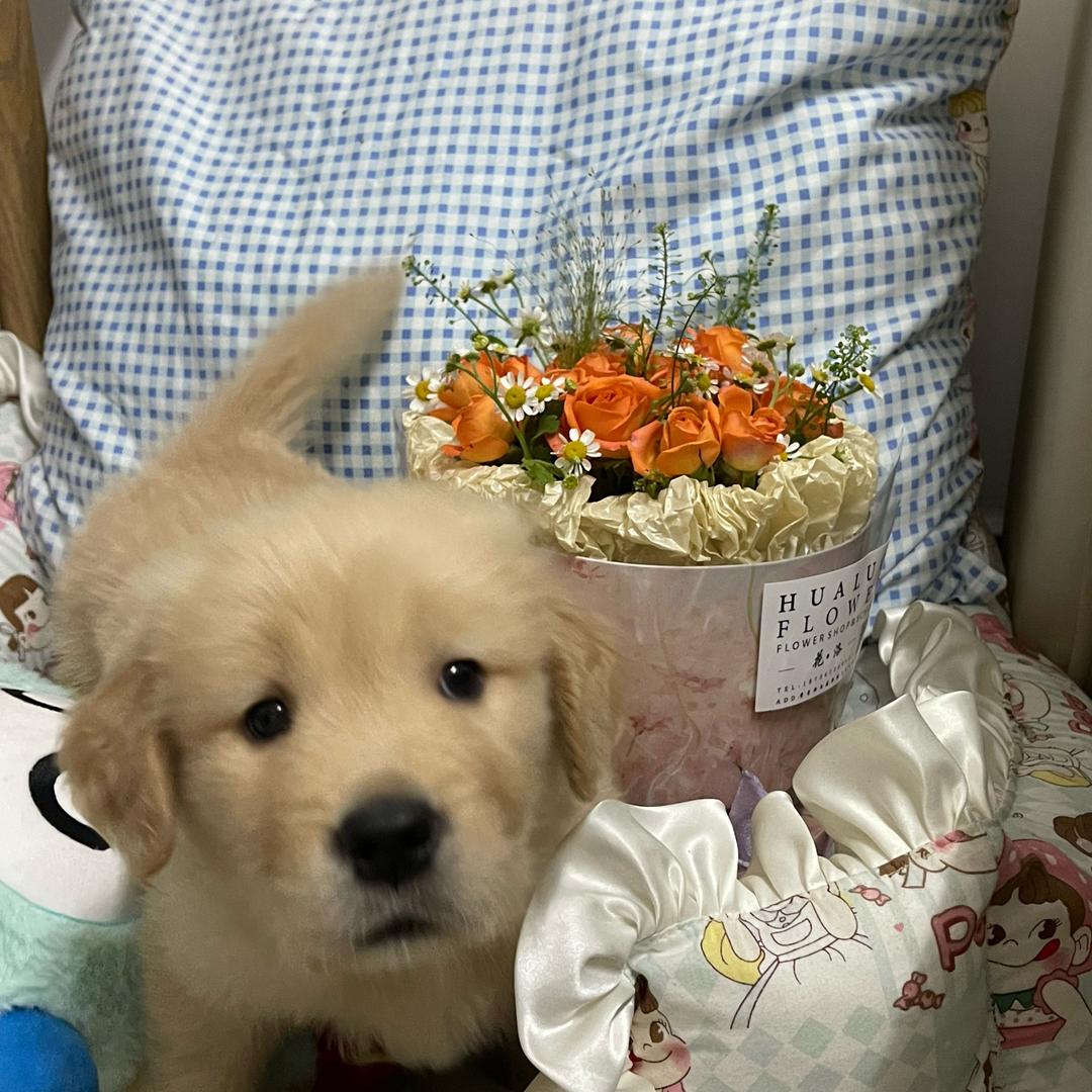 嘀嗒