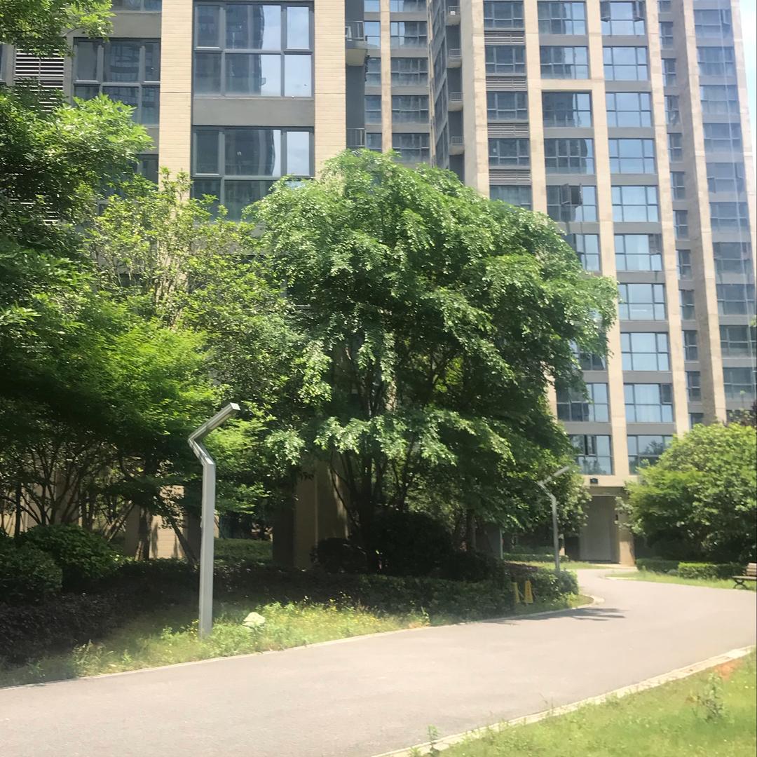 福气满满（马）
