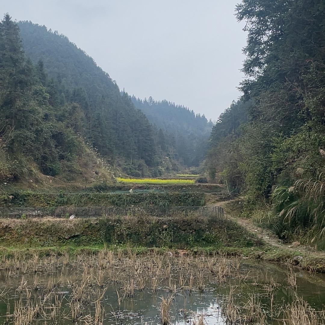 乡村振兴助农