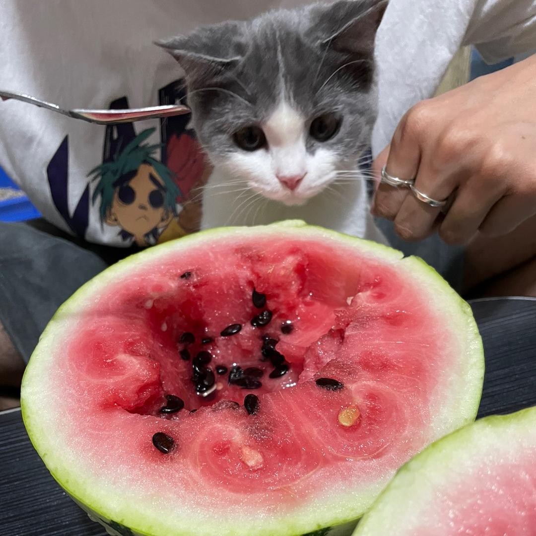 听说了