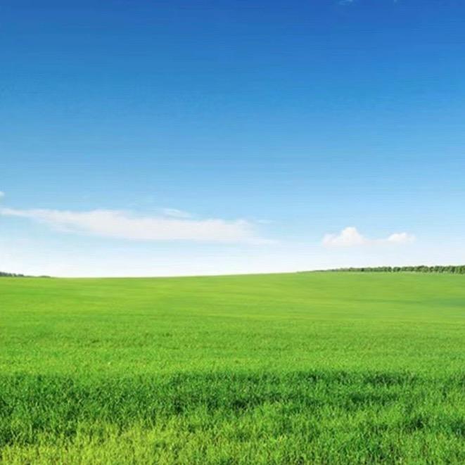 秋月寒江