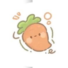 理发的胡萝卜🥕