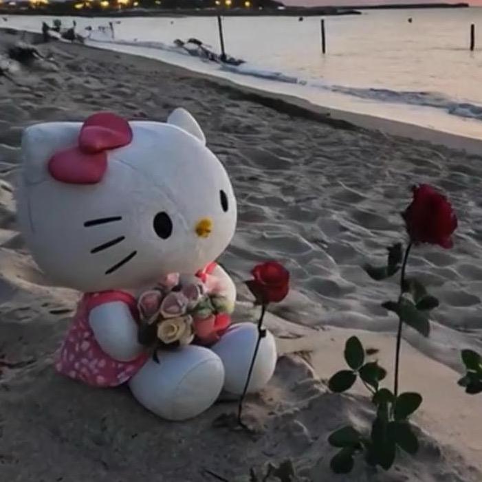 桃桃。
