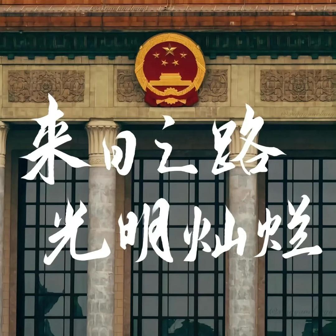 会飞的小仙女