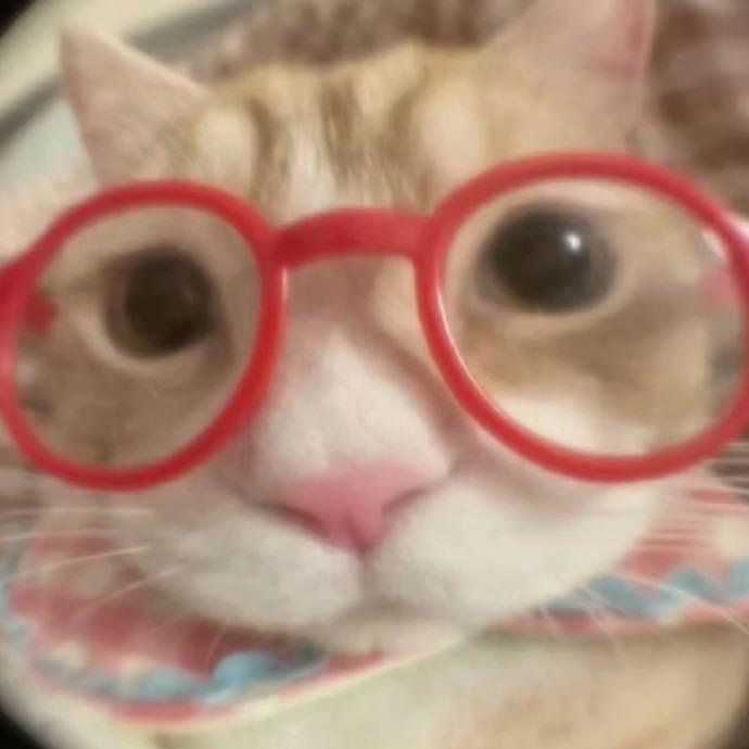 修狗三十六计
