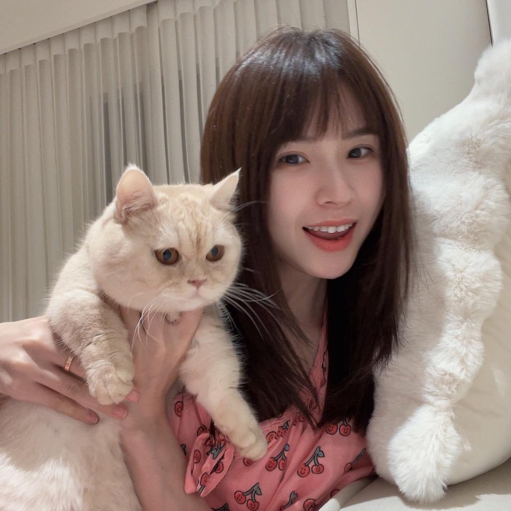 一坨小短腿