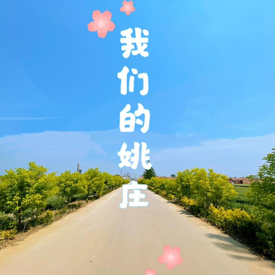 我们的姚庄