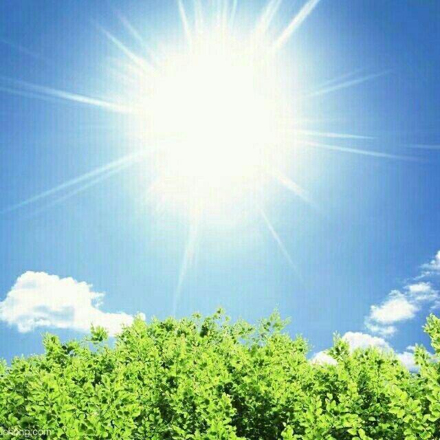 米恩