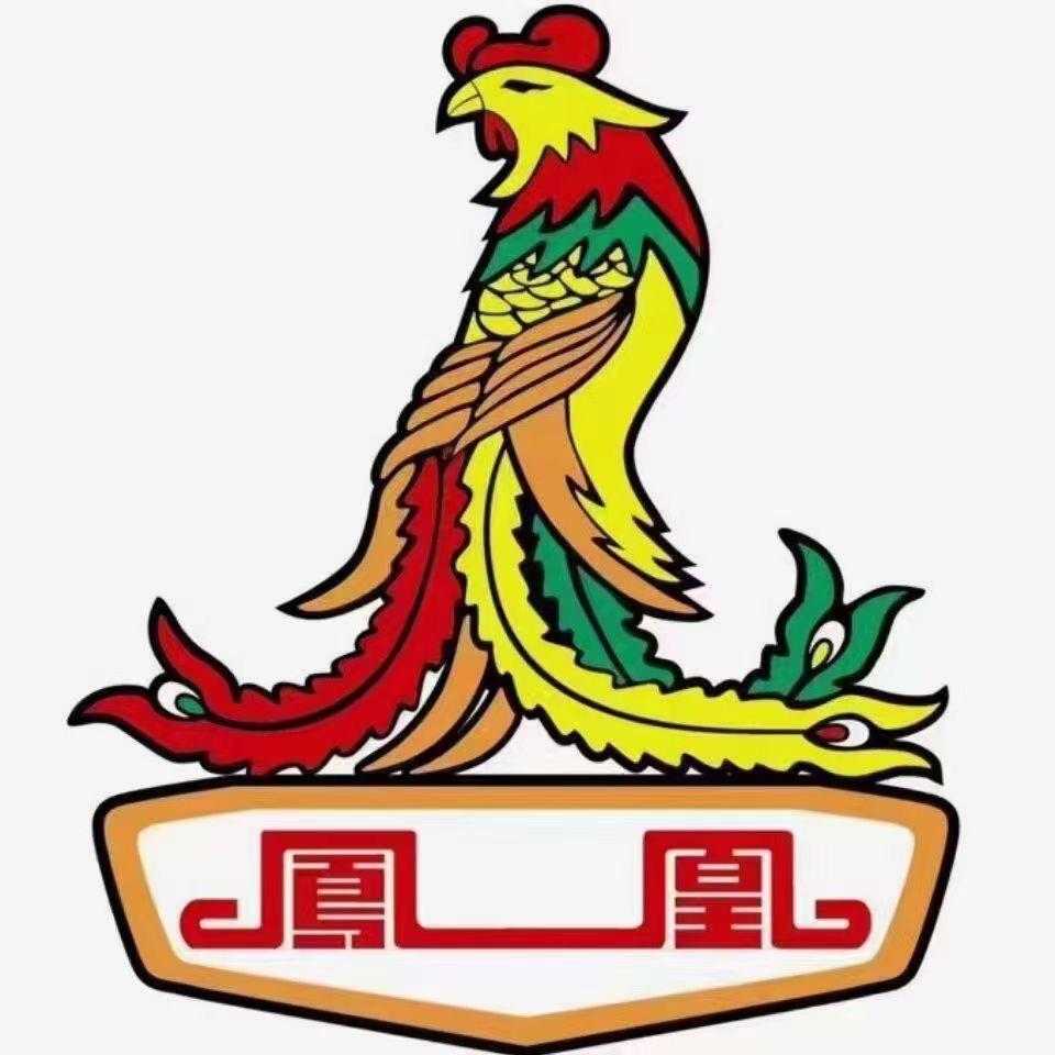 上林凤凰喜德盛自行车店