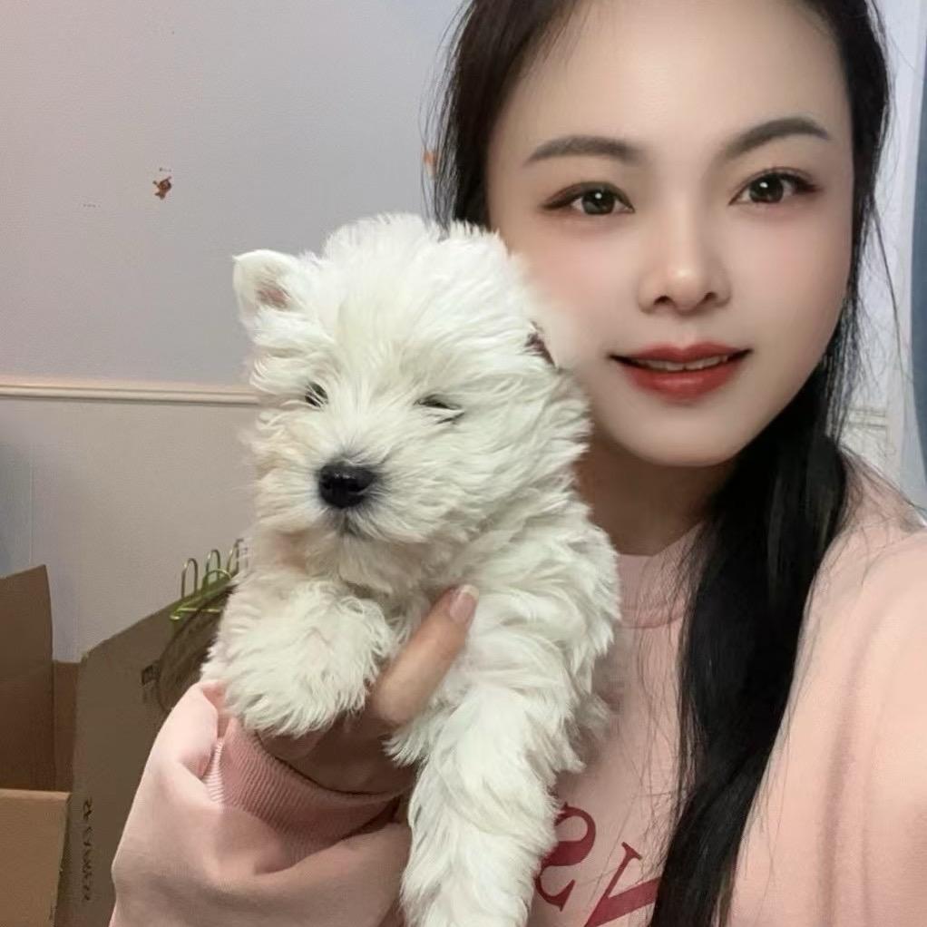 大熊宠物基地（羊马）