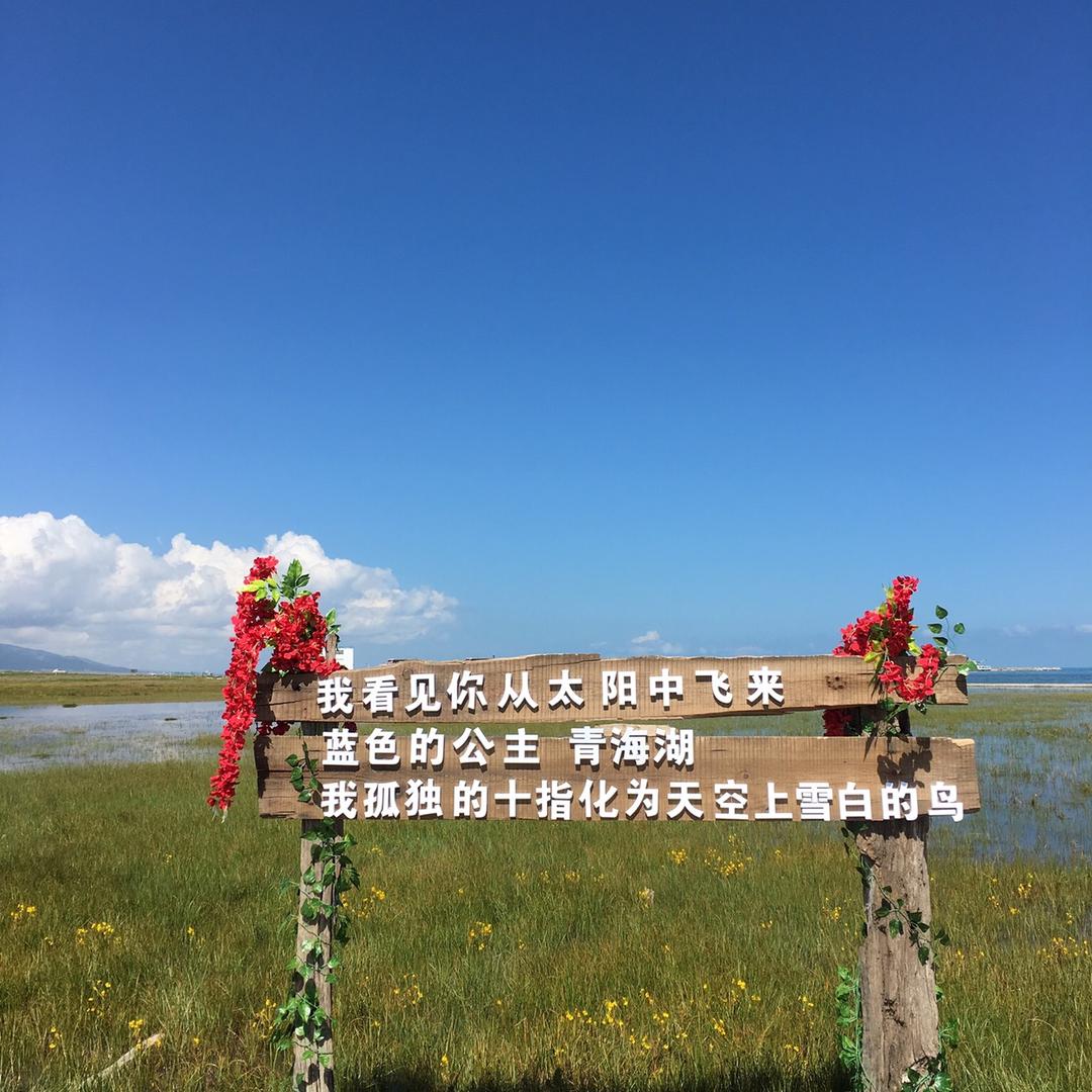 晴空万李