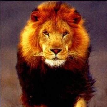 前半生的～时光