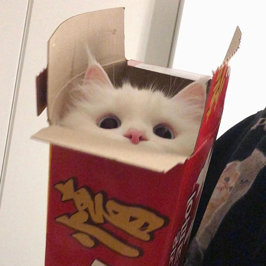 美羊羊桑