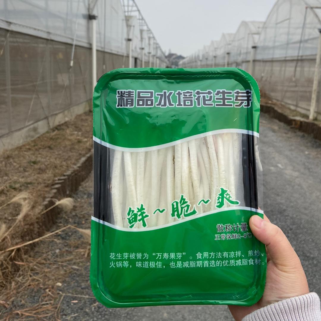 厂长花生芽