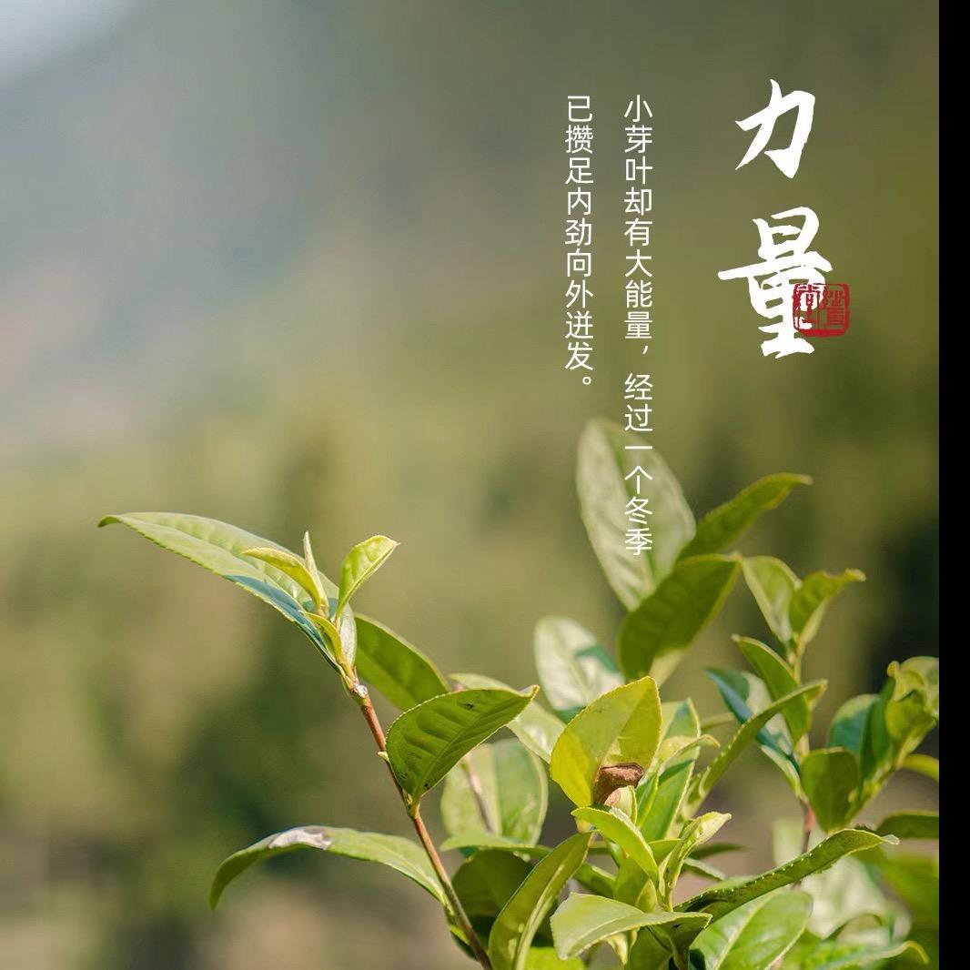 盛和·雅致