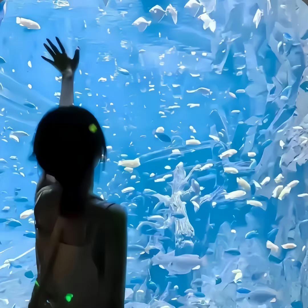 柒柒爱生活