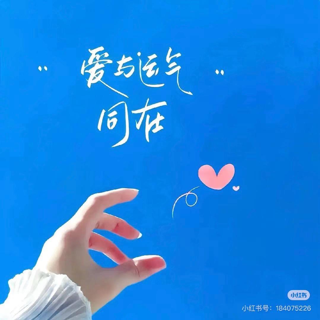 沐枫