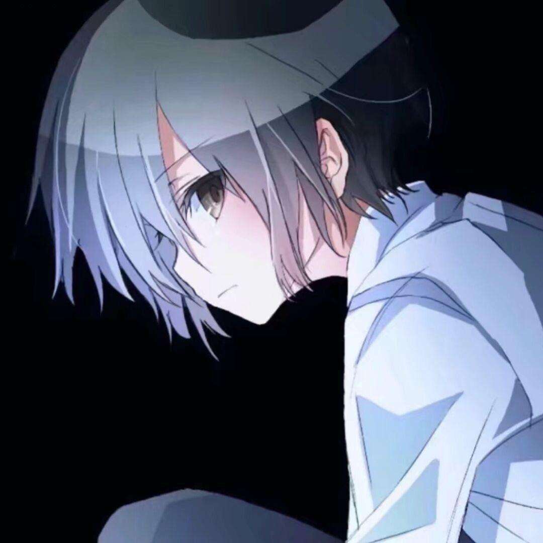 秋宝王者荣耀凌晨版