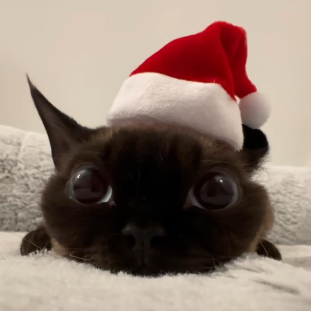 做人可不可以简单一点