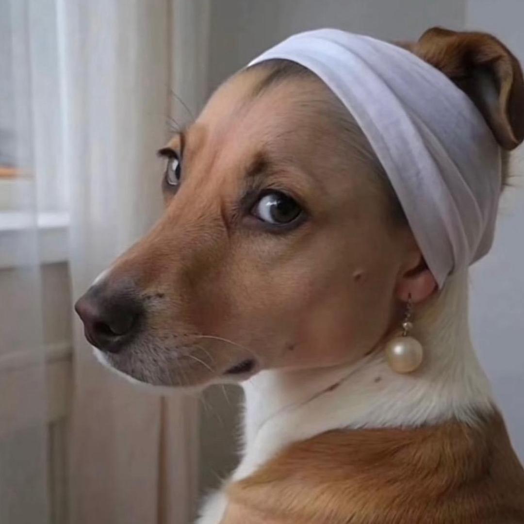 脚皮馊了